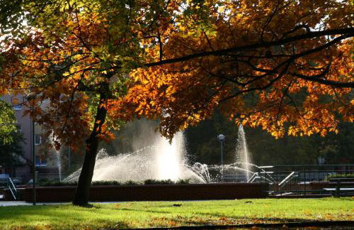 Prestige Apartment Słupsk - Photo 21