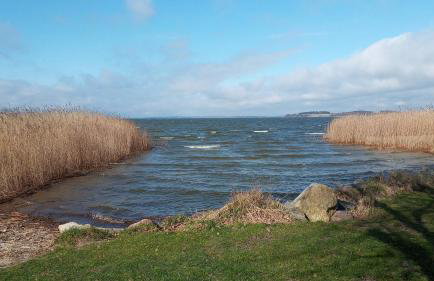 moderne 3-Raum Ferienwohnung Strandmöwe mit Panoramafenster - Foto 13