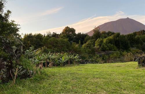 Casa do Almance - Photo 33