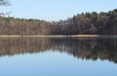 FeWo mit Balkon, Zimmermann - Foto 30