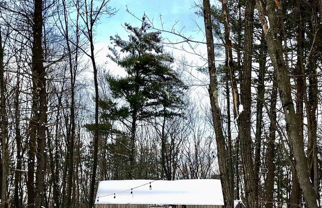 Gather Greene - Foto 19