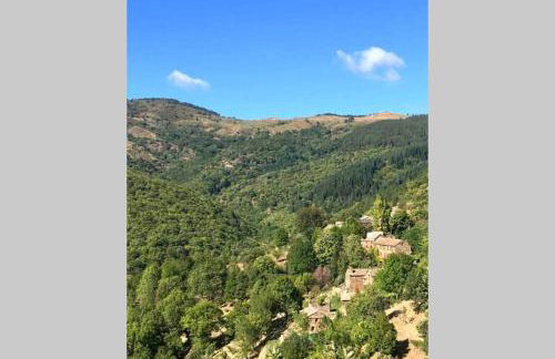 La Pellegrine, Parc national des Cévennes - Foto 14