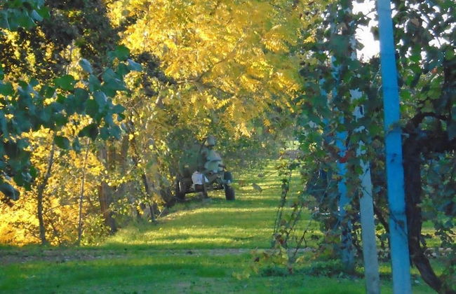 Agriturismo Loghino Sabbioni - Photo 25