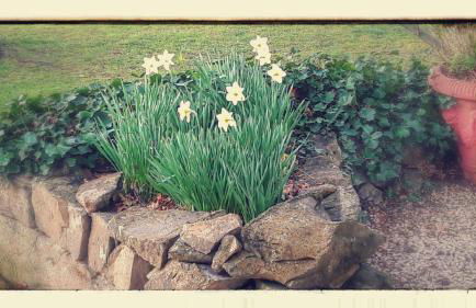 La Figalie - Foto 10