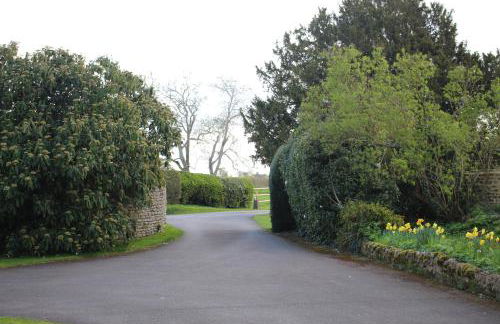 Charney Manor - Photo 32