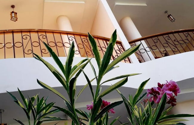 Luxor Plaza House - Foto 33