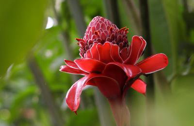 Bahia Soul - Casa Mutá - Barra Grande - Península de Maraú - Foto 55