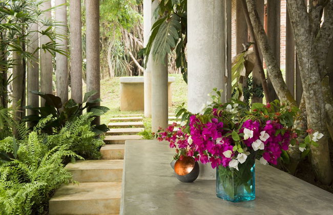 Walatta House - Photo 48