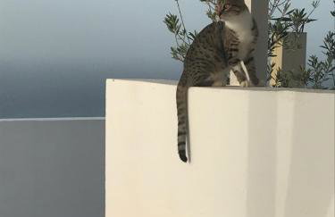 Nakou Village - Foto 46