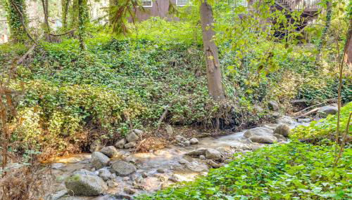 13 Mi to Beach! Forest Brook Creekfront Cabin - Foto 4