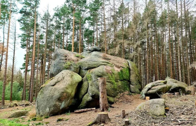 Classic Holiday Home in Harz near Braunlage Ski Area - Foto 23