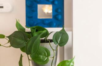 324 - Casa Brezza Marina, 10 Minuti a piedi dalla spiaggia e dal mare di Riva Trigoso - Foto 14