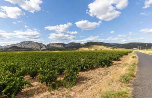 Holiday Home in Tautavel near Gorges de Gouleyrous - Photo 25
