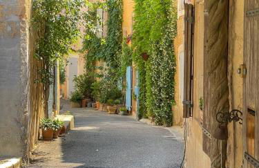 Le Petit Delphia - Photo 39