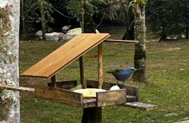 Casa em Visconde De Mauá, Terrário da Montanha - Foto 28