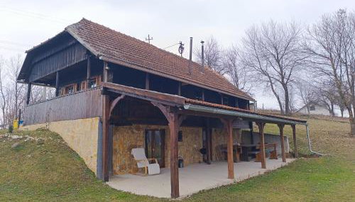 Šumski san - Foto 4