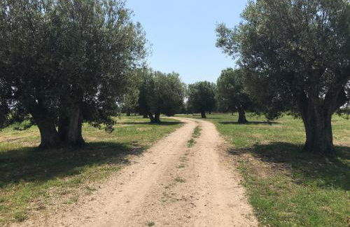 Resort Fonte Vulci - Foto 55