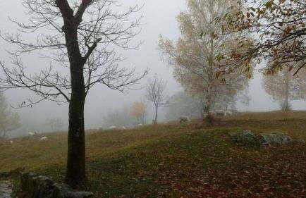 Rifugio Uschione - Foto 16