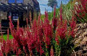 Kamienny Zakątek w Bieszczadach - Foto 26