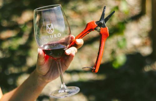 Casa d'Arcã - Foto 68