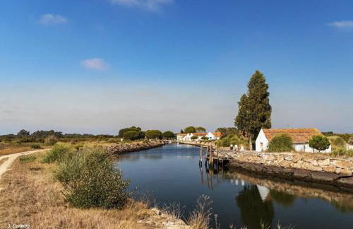 O CANTINHO DA RIA - JACUZZI with water at 35 degrees and POOL - Foto 68