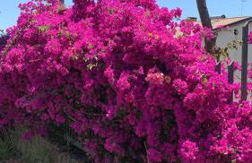 Villa Panorama - Foto 2