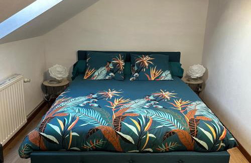 Le cocon de Marckolsheim proche Europapark - Foto 42