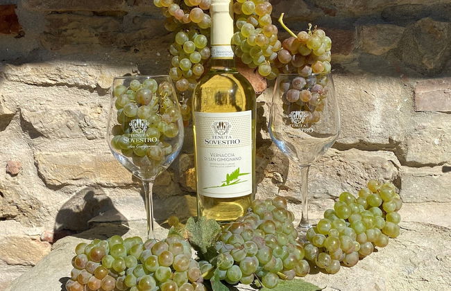 Tenuta Sovestro - Agriturismo e Winery - Foto 44