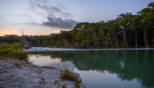 NEW Treehouse at Link Lane 2 Acres w Hot Tub - Foto 5