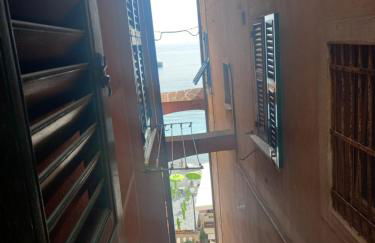 La Fernandina - Foto 37