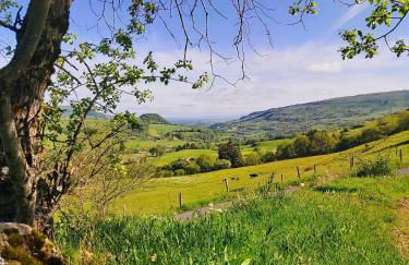 APPART HOTEL Place des Jolis Rêves - Foto 13