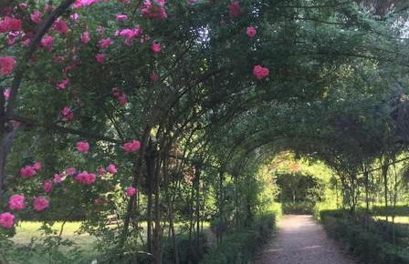 Casa Savia, vacanze lago d'Iseo - Foto 31