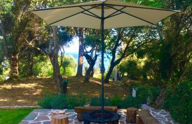 Anna's cottage house - Foto 31