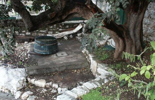 Apartments by the sea Babine Kuce, Mljet - 611 - Photo 8