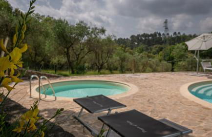 Poggio Al Palio - Foto 71