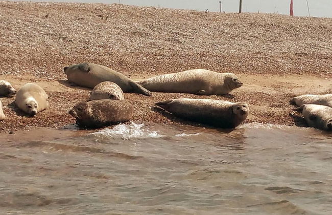 Beautiful 6-bed Dog Friendly Cottage in Heacham - Photo 29