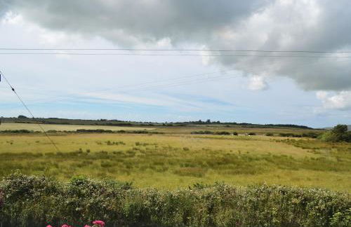 Rhos Y Grug - Foto 21