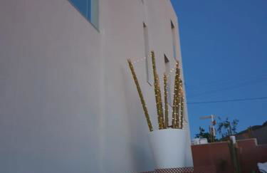 L'ARMONIA entre la Farella i Cau del LLOP - Foto 25