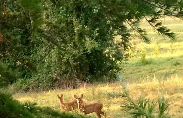 Petit Loft idéal, Tourisme et Affaires en Vallée du Lot - Foto 14