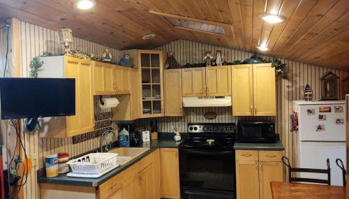 Cozy Riverside Cabin Rental with Fishing Access on Wolf River, Wisconsin - Foto 3, stove