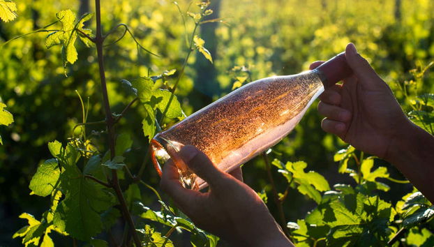 Vino del Lago di Garda