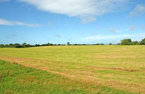 Foel Stable Cottage - Foto 12