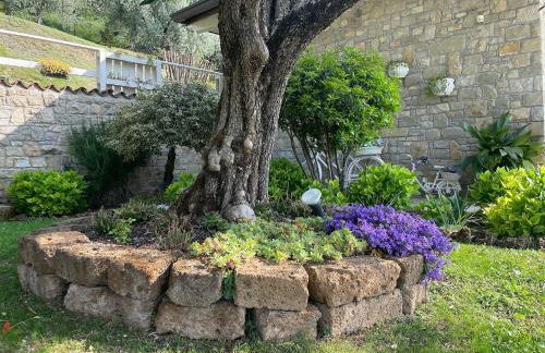 CHALET VELA Natura e Relax - Foto 53