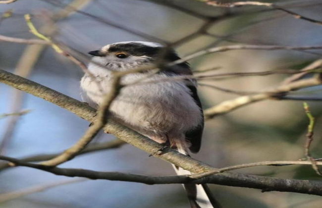 Holiday Home in Haaksbergen by Lake - Photo 35