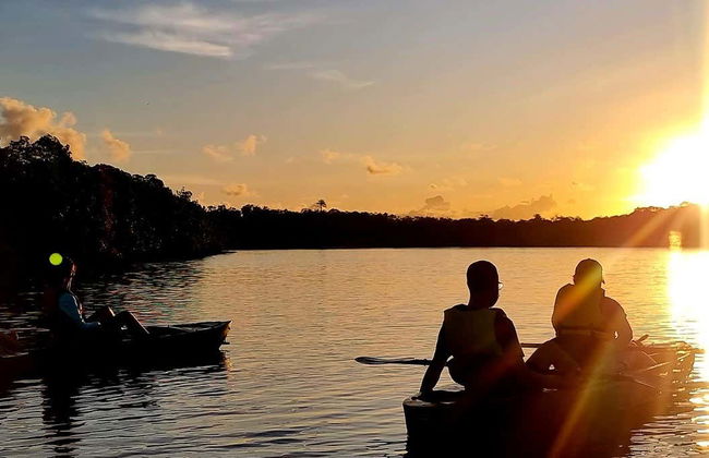 Tour en kayak al atardecer por los manglares de la isla de Boipeba - Foto 1