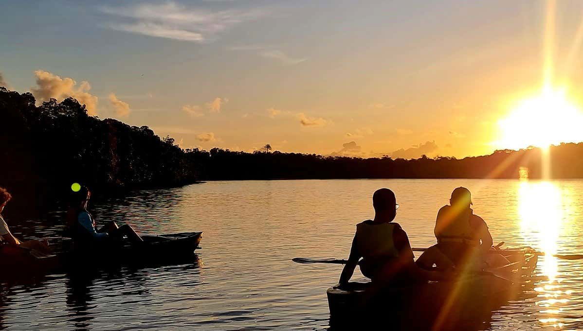 Excursion en kayak au coucher du soleil à travers les mangroves de l'île de Boipeba