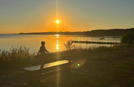 Frisch Saniert Ferienhaus Achterland - Strand, Sauna, Kamin, WLAN und ein großer Garten - Foto 26