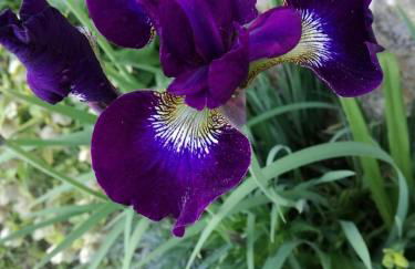 joli gîte plain pied - Foto 19