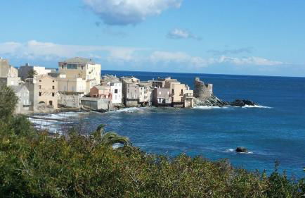 Les bougainvilliers - Foto 31