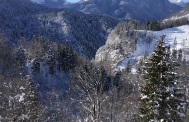 Reddish Deer House ::: Cadore Dolomiti - Foto 25